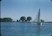 Old cottage w Ben's sailboat